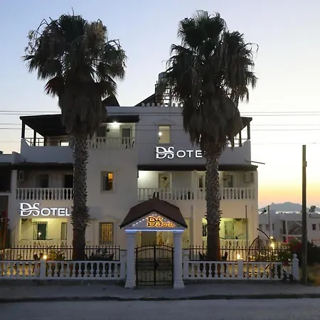 Ds Hotel *