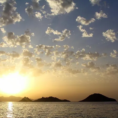 Ds * Bodrum
